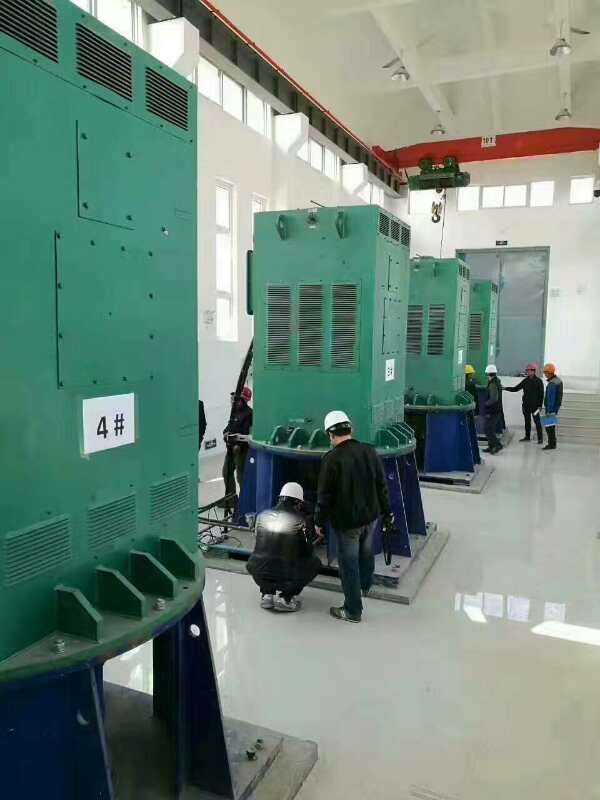 叶城某污水处理厂使用我厂的立式高压电机安装现场